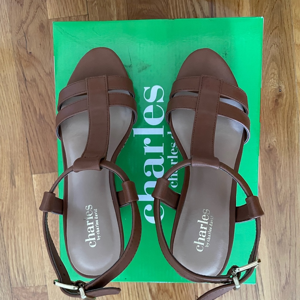 Charles by Charles -David wedge sandals -Love -Size 6 NWT